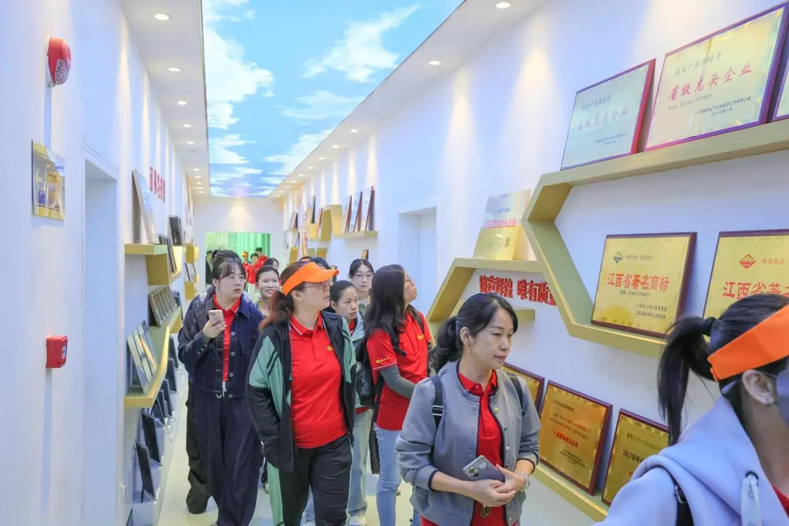 够野你就来——2025中国南酸枣之乡旅游音乐文化节暨齐云山登山节圆满收官