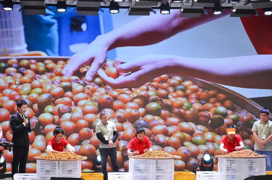 够野你就来——2025中国南酸枣之乡旅游音乐文化节暨齐云山登山节圆满收官