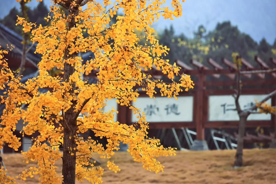 江苏建院构建“323”师德建设体系，全体教师同上“师德必修课”