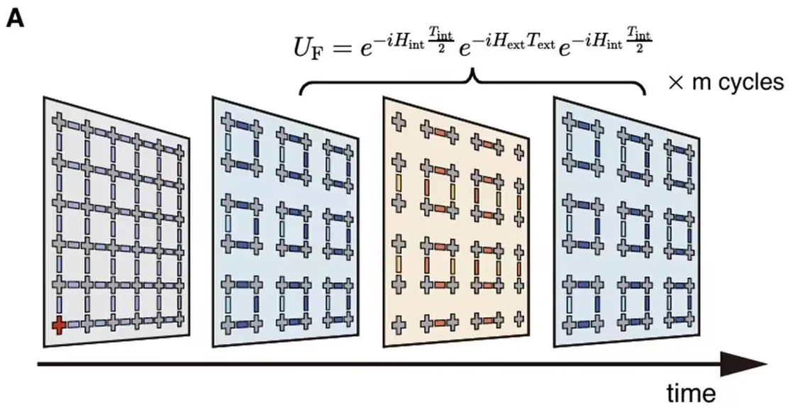 ▲ 实验在 6x6 二维比特阵列上实现周期性驱动