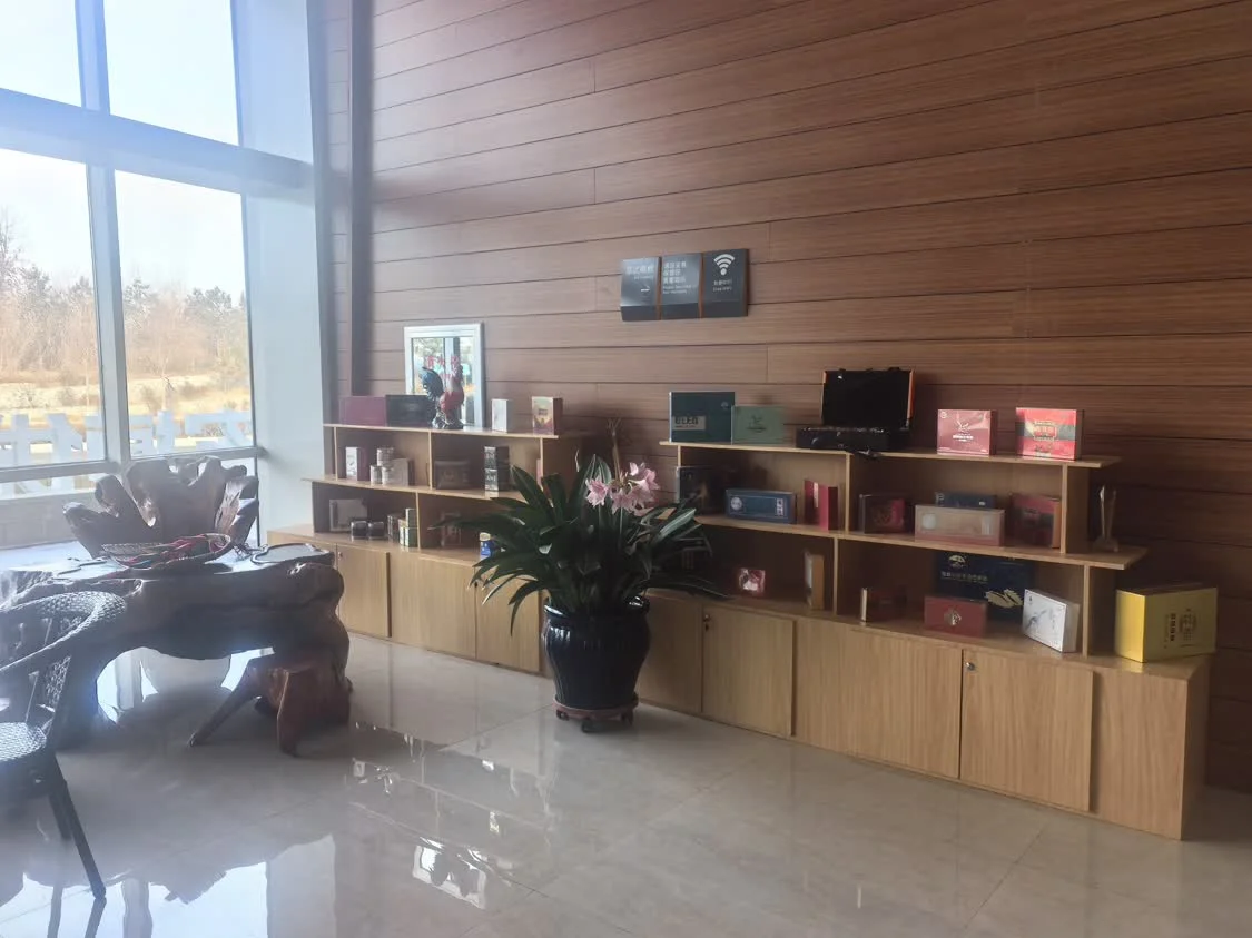 农博冰雪乐园正式开园！冰雪狂欢 + 农特好物 + 地道东北菜，全家嗨玩一整天～