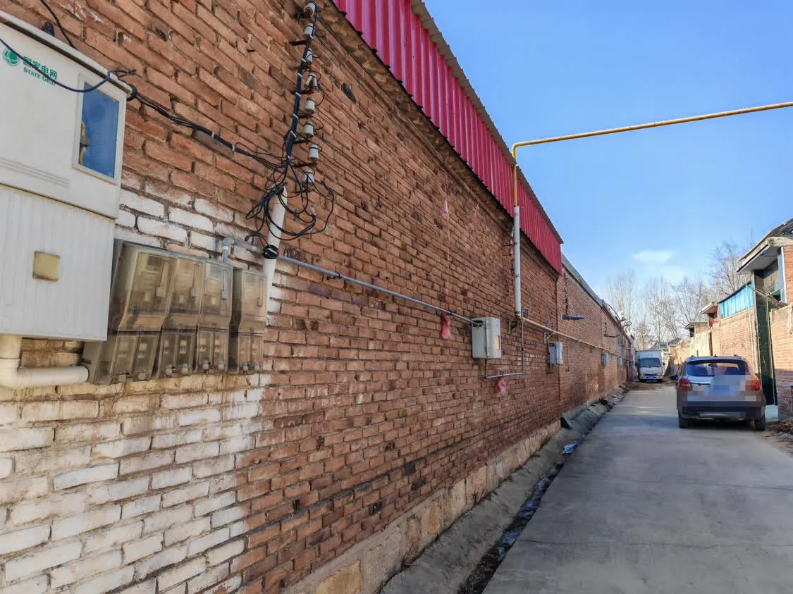 风暴眼丨直击河北农民取暖：“烧不起”的冬天