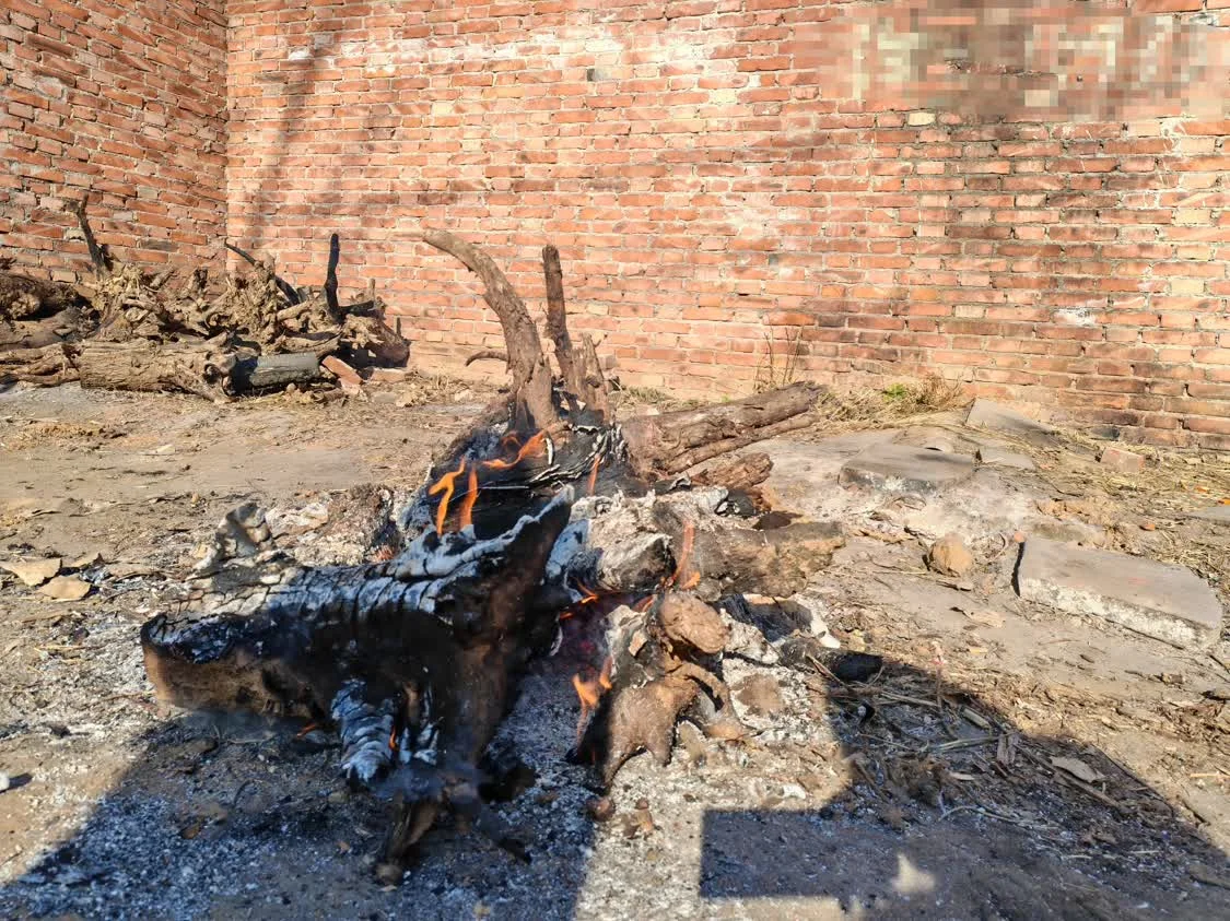 风暴眼丨直击河北农民取暖：“烧不起”的冬天