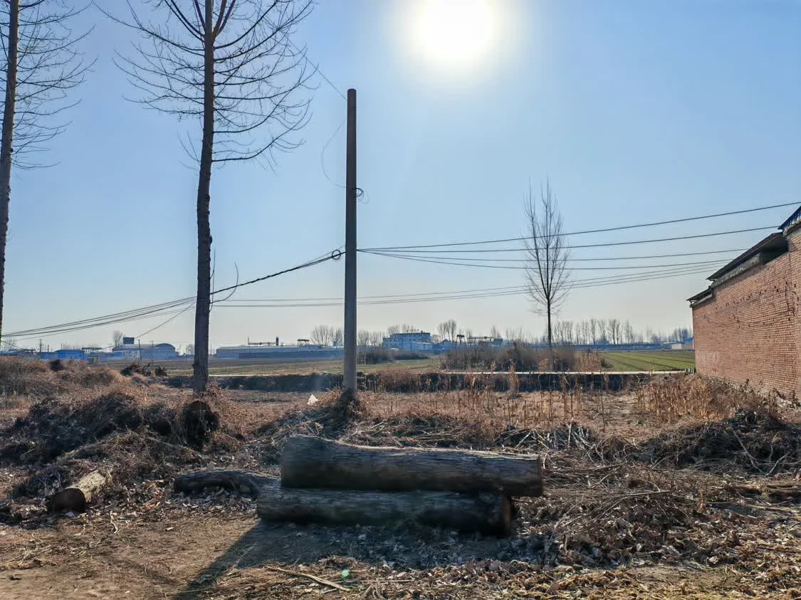 风暴眼丨直击河北农民取暖：“烧不起”的冬天