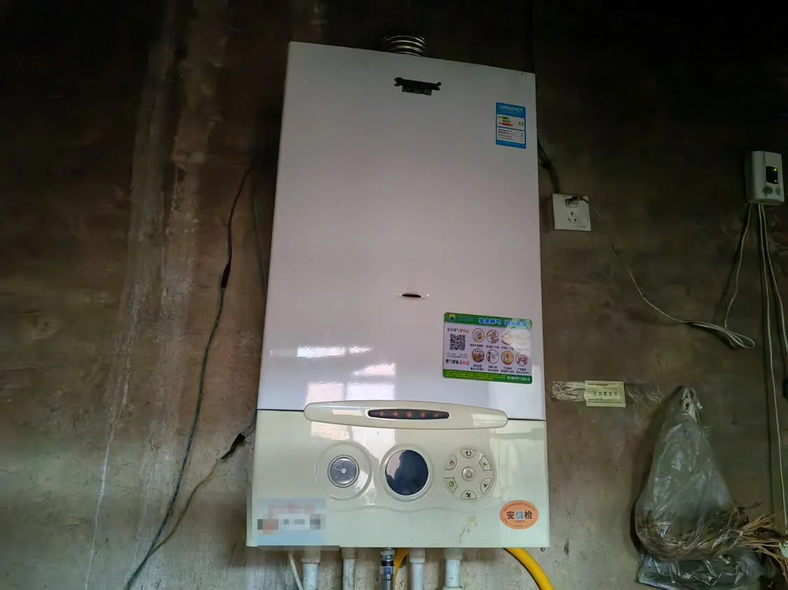 风暴眼丨直击河北农民取暖：“烧不起”的冬天