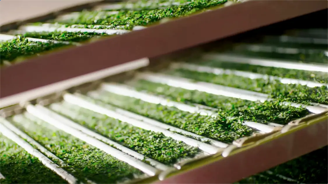 �ڶ��յĹ��ݣ���һ������ȵ����ڵĸй�����������ʮ��ʱ��