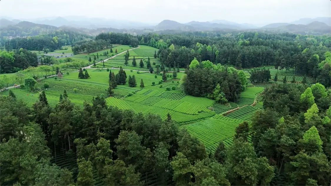 �ڶ��յĹ��ݣ���һ������ȵ����ڵĸй�����������ʮ��ʱ��