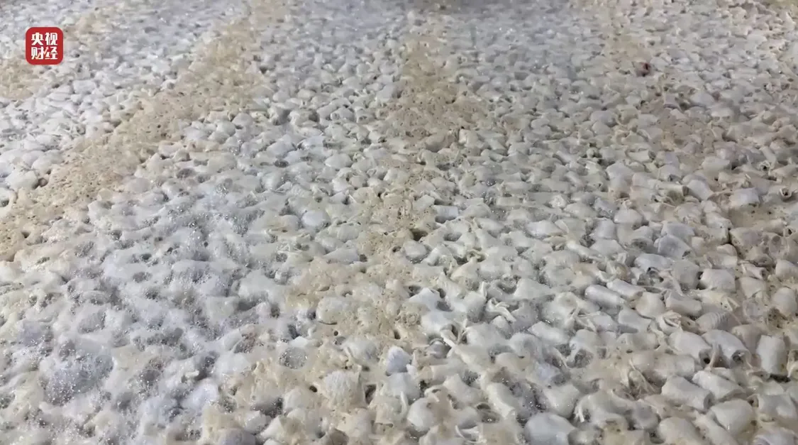 黑心“漂白鸡爪”，生产车间令人作呕，有毒的双氧水随便用_https://www.izongheng.net_健康_第31张