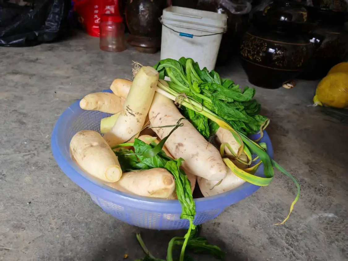 大山深处，那些靠百元养老金扛过疼痛的老人_https://www.izongheng.net_快讯_第2张