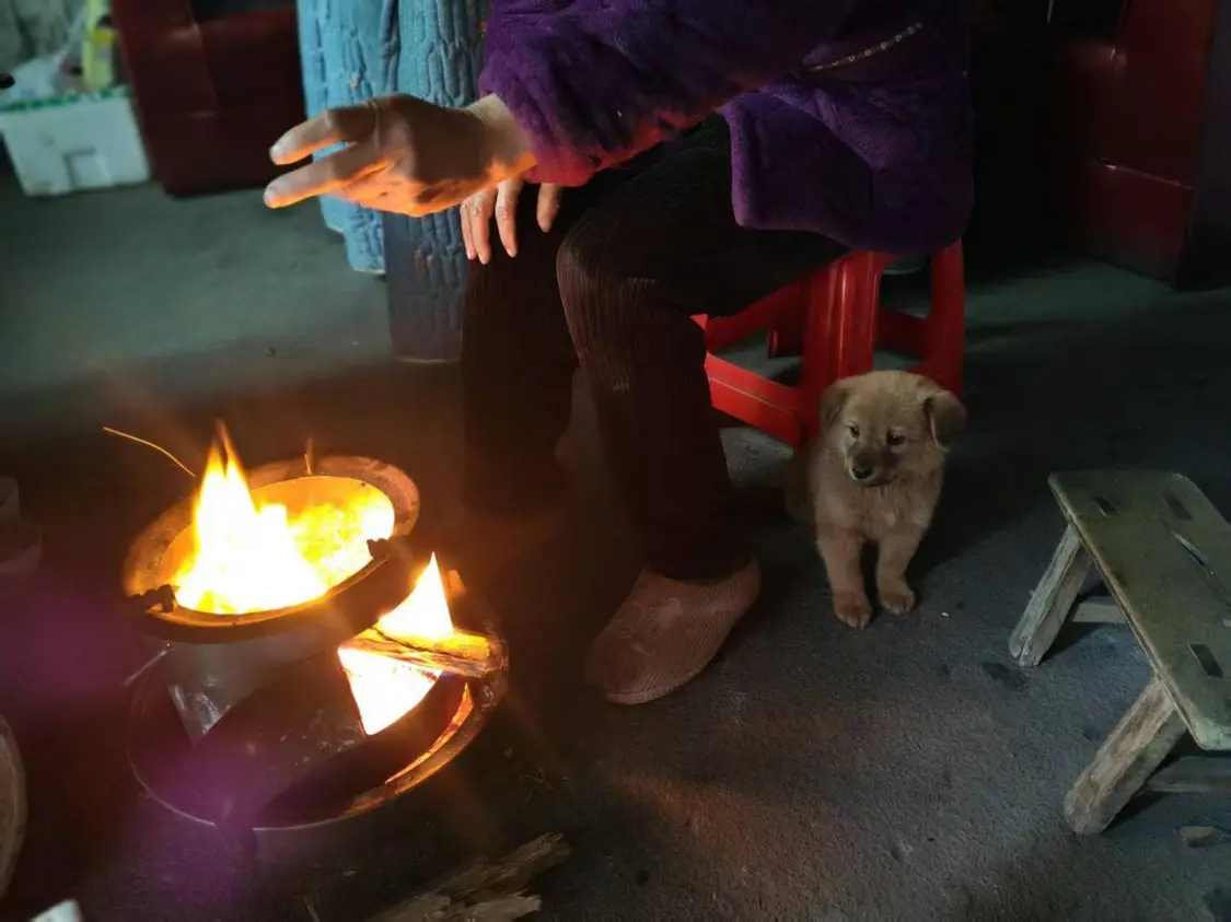 大山深处，那些靠百元养老金扛过疼痛的老人_https://www.izongheng.net_快讯_第12张