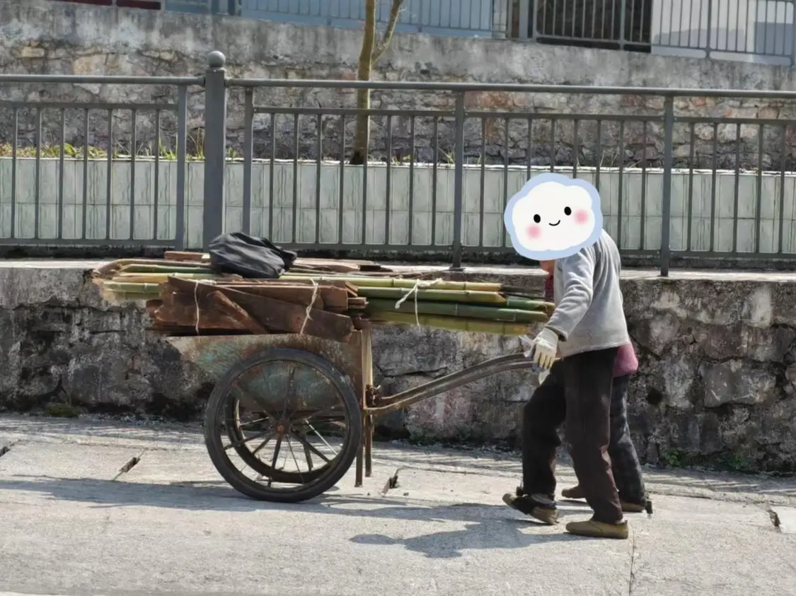 大山深处，那些靠百元养老金扛过疼痛的老人_https://www.izongheng.net_快讯_第7张