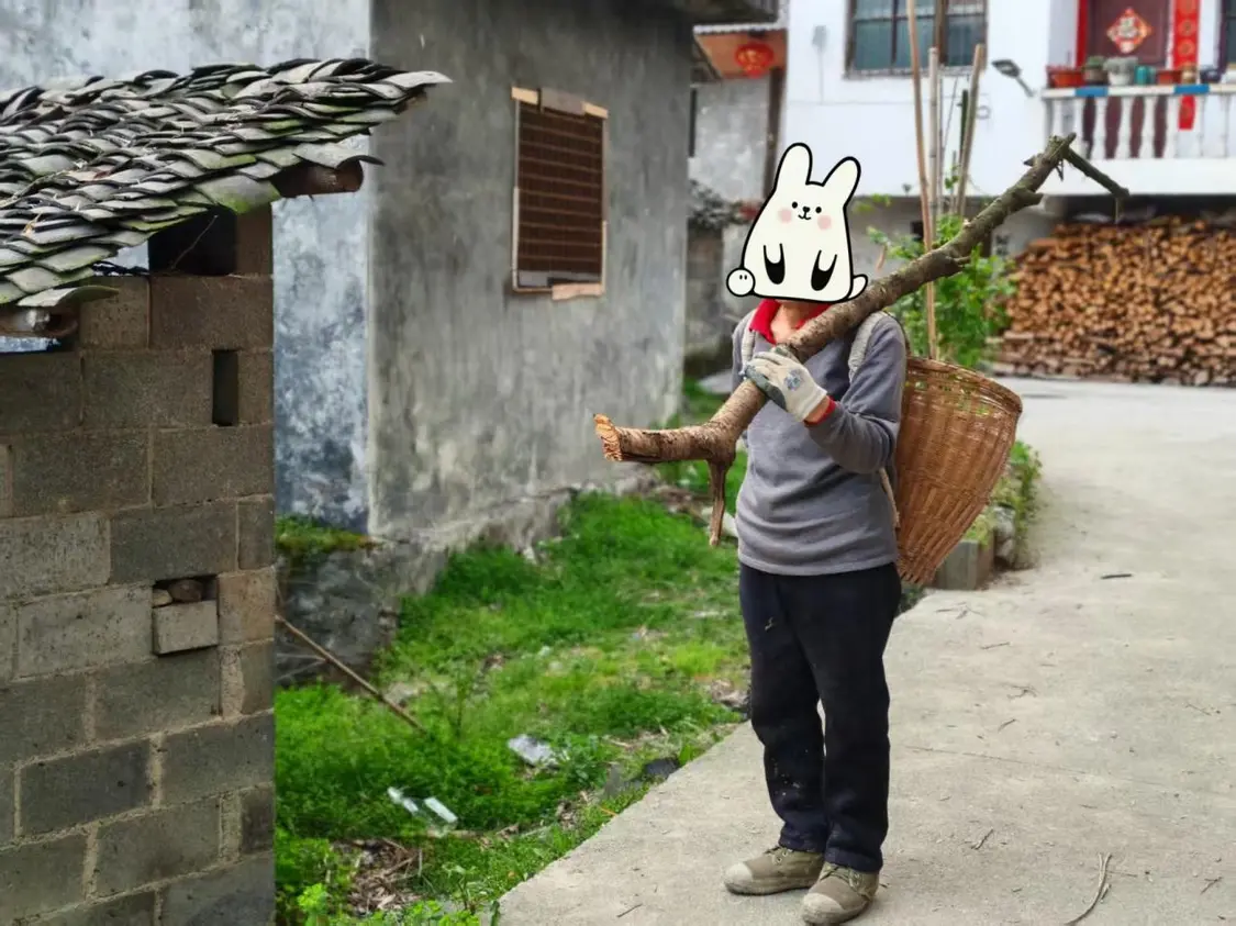 大山深处，那些靠百元养老金扛过疼痛的老人_https://www.izongheng.net_快讯_第8张