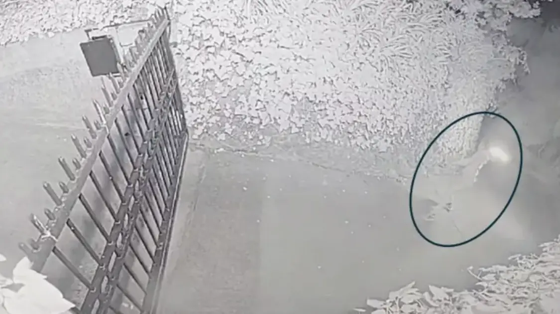 嫌犯加马投掷燃烧瓶