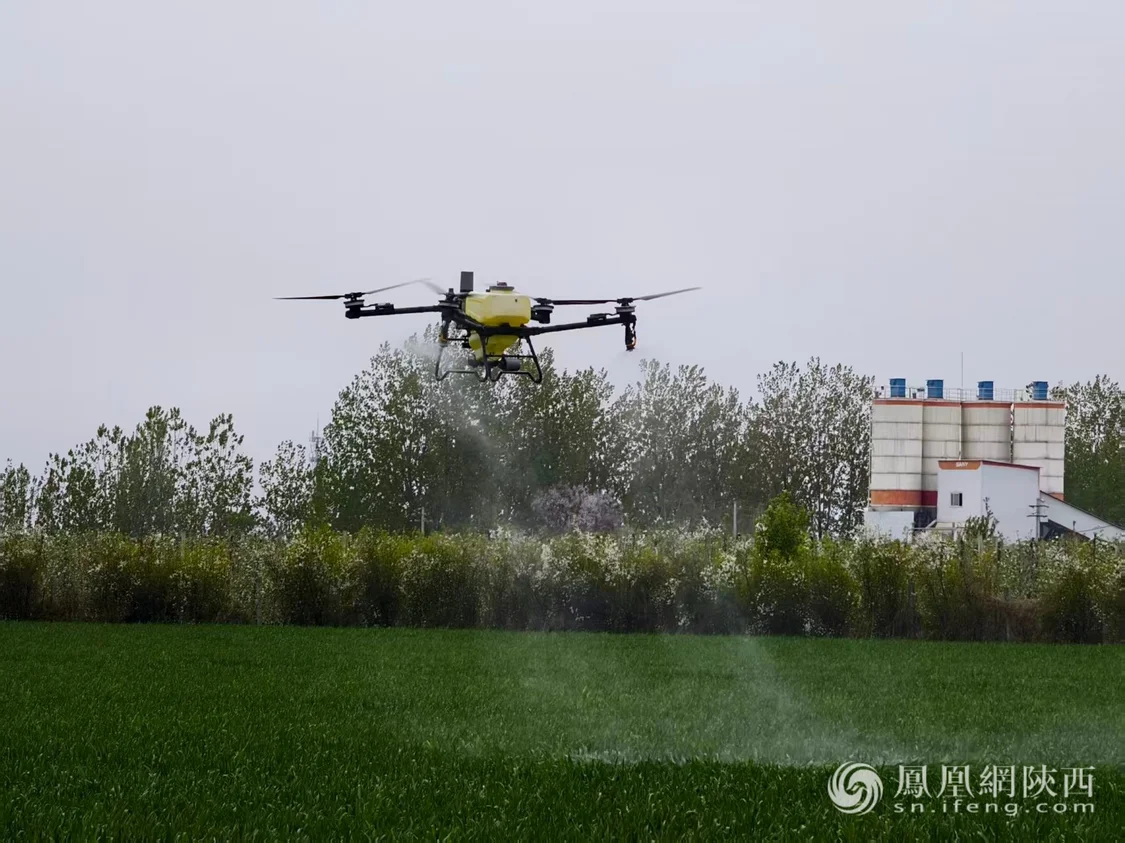凤翔区：低空经济振翅高飞 赋能高质量发展新篇章