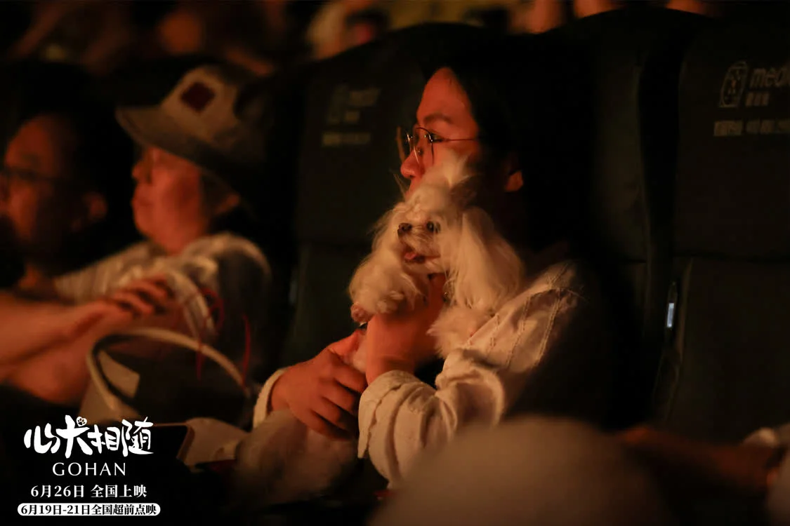 《心犬相随》首映礼主创来华 人狗真挚情感引爆口碑