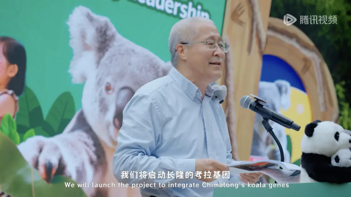 《我是考拉，欢迎光临我们的家》温情收官：一个八代考拉大家族，二十年的爱与守候