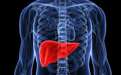 如何真正的了解肝脏？肝脏出现问题的症状
