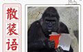 金庸儿子自称二公子被嘲：谦敬辞到底该怎么用？