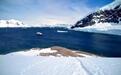 去南极看企鹅 最亲密的接触不是近距离拍照而是用这两种方式