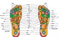 低头摸脚，病都赶跑！很多病在脚上都有开关！只是你不知道！