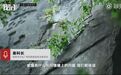 19岁大学生在桂林七星公园猴山离奇死亡！景区只赔3万家属不满