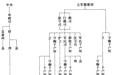 赣州城人为什么说柳州话：那些令人诧异的“方言岛”