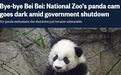 熊猫的直播被掐，美国网友都怒了