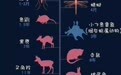 动物界的“天山童姥”究竟是谁？