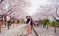 韩国赏樱全攻略：让我们趁着春日一起到首尔淋一场樱花雨吧！