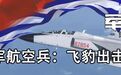 献礼海军：中国海军航空兵 飞豹出击JH-7A