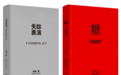 畅销书作家棉棉“失踪”十年 携最新小说《失踪表演》回归
