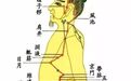 胆经一通，万病无踪，一套真人胆经操，5分钟学会，早练早受益