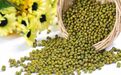 绿豆总是煮不烂？让绿豆「快速开花」的技巧就在这！
