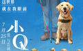 任达华深情讲述与导盲犬小Q的羁绊