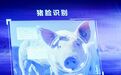 刘强东也要养猪了！“猪脸识别”将上线，为啥科技大佬都爱养猪？
