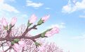  3、4 月份必须要吃的 7 种应季水果，再不吃就要等明年了！