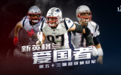 超级碗爱国者13-3公羊，夺队史第六座超级碗