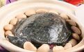 乙肝为什么不能吃甲鱼？每顿饭前得先看看这两个饮食原则