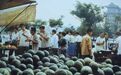 细数老北京夏天的55样吃食，少吃一样都是亏！