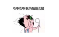 植发后出现脱发怎么办？