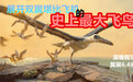 谁说鸟类无法大型化：史上最大飞鸟，体型堪比小型飞机