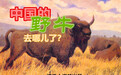 【牛年说牛】中国的野牛都去哪了？