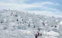 日本藏王山独特景观“雪怪”濒临消失 原因是虫子成灾