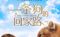 《一条狗的回家路》曝猫狗海报 北美开画票房力超前作