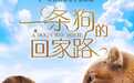 《一条狗的回家路》发预告 不惧寒冬只因一路上有你
