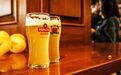 净利连续两年两位数增长，青岛啤酒打破国产啤酒薄利怪圈