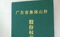 广东：村委扣留1537本山林股权证 上访村民深夜被打