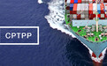 CPTPP版本敲定，没有美国的TPP“挺过来了”？