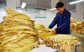 保康县烟叶全面开秤收购