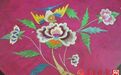 穿越到清朝，曲阜竟有红缎五彩云蝠龙袍